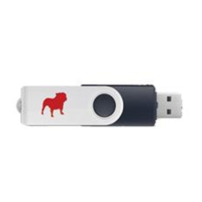 Bull Guard BGISUSB Anti Virus V8 + Internet Security USB Pen