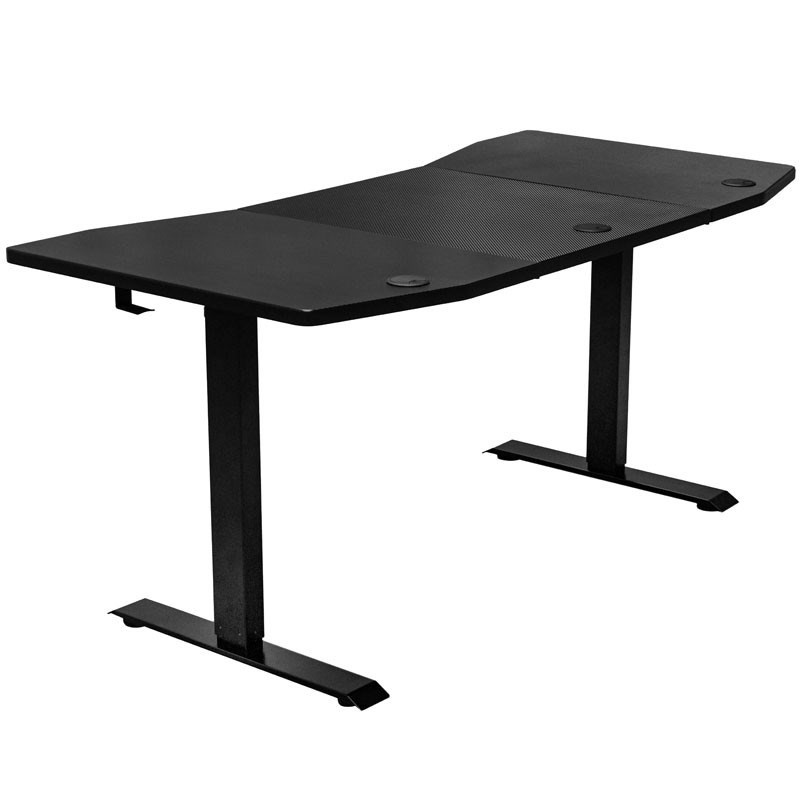 Nitro Concepts D16E Electric Adjustable Sit/Stand Gaming Desk - Carbon ...