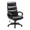 Generic Falcon Value  Executive Chair Basic Tilt Bonded leather Fixed Armrest Height-Adjustable Seat Image