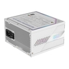 Gigabyte AORUS ELITE ICE 850W White PSU - Fully Modular, 80 PLUS Platinum, ATX 3.1, PCIe 5.0 Ready Image
