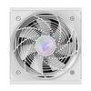 Gigabyte AORUS ELITE ICE 850W White PSU - Fully Modular, 80 PLUS Platinum, ATX 3.1, PCIe 5.0 Ready Image