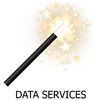 Falcon Services  Data Transfer (with System Builds Options) Image