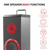 Psyc Torre WX Wi-Fi / Bluetooth Mini Tower Speaker 20w - Special Clearance Offer ! Less Than Half Price  !! Image