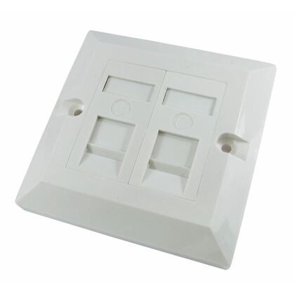 Generic  CAT5e SINGLE GANG FACEPLATE, with 2 pre-installed modules, white