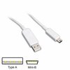 Generic  Mini USB Cables 2.0 - USB A To Mini B Male 1.5m Image