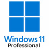 Microsoft Windows 11 Pro System Builder OEM  64-bit Image
